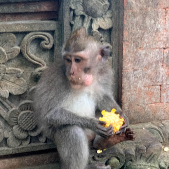 Meet your Posher, T - Picture 1 of 1